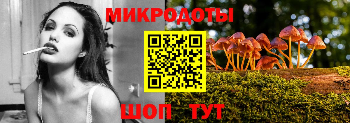 Галлюциногенные грибы Cubensis Каменка